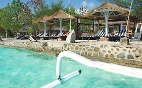 The High Dive - Ultimate Dive Gili Gede